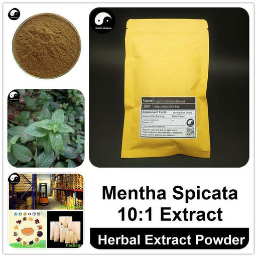 Mentha Spicata Extract Powder, Mentha P.E. 10:1, Liu Lan Xiang-Health Wisdom™