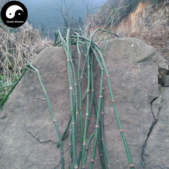 Mu Zei Cao 木贼草, Herba Equiseti Hiemalis, Common Scouring Rush Herb-Health Wisdom™