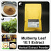 Mulberry Leaf Extract Powder 10:1, Morus Alba P.E., Sang Ye-Health Wisdom™
