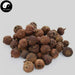 Nan Shan Zha 南山楂, South Hawthorn Fruit, Fructus Crataegi, Crataegus Cuneata-Health Wisdom™