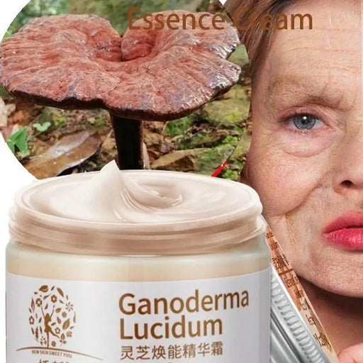 Natural Herbal Extract Essence Ganoderma Lucidum Face Cream Repair Facial Skin Moisturizing Brightening-aging Products-Health Wisdom™