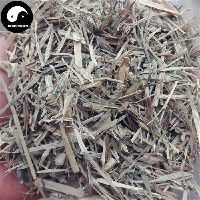 Niu Jin Cao 牛筋草, Herba Eleusines Indicae, Goosegrass Herb-Health Wisdom™