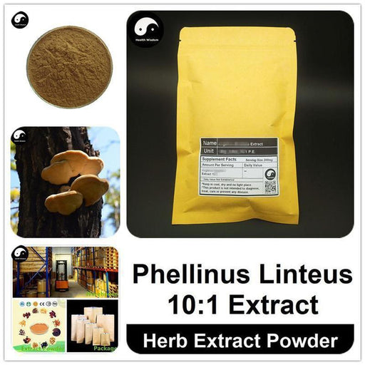 Phellinus Linteus Extract Powder, Mesima P.E. 10:1, Sang Huang-Health Wisdom™