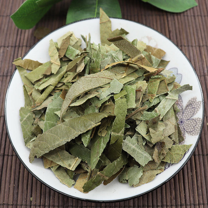 Pi Pa Ye 枇杷葉, Folium Eriobotryae, Loguat Leaf Tea-Health Wisdom™