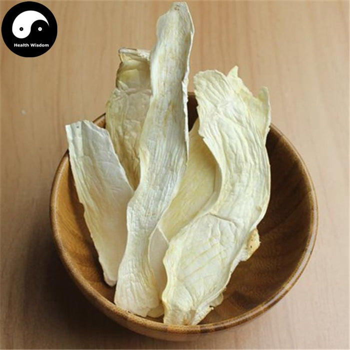 Pleurotus Eryngii, King Oyster Mushroom, エリンギ, Xing Bao Gu 杏鮑菇-Health Wisdom™