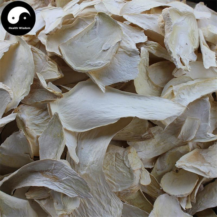 Pleurotus Eryngii, King Oyster Mushroom, エリンギ, Xing Bao Gu 杏鮑菇