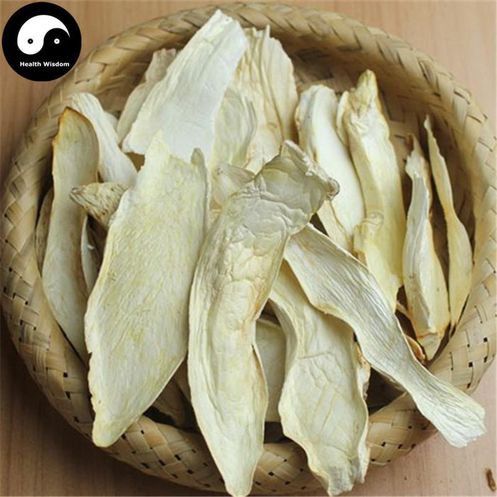 Pleurotus Eryngii, King Oyster Mushroom, エリンギ, Xing Bao Gu 杏鮑菇