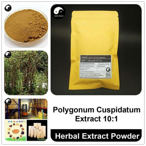 Polygonum Cuspidatum Extract Powder 10:1, Giant Knotweed P.E., Hu Zhang-Health Wisdom™
