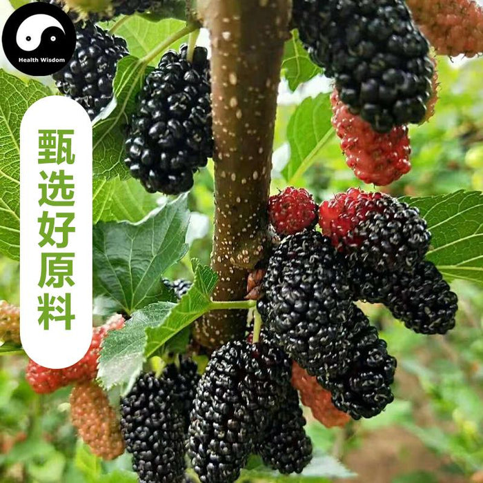Pure Fruit Mulberry Powder Food Grade Sang Shen 桑葚 Powder For Home DIY Drink Cake Juice-Health Wisdom™