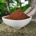 Pure Phellinus Linteus Powder, Mesima, Meshimakobu, Song-Gen, Sang-Hwang, Sang Huang 桑黄-Health Wisdom™