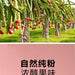 Pure Red Dragon Fruit Powder Food Grade Hylocereus undatus 'Foo-Lon' Powder For Home DIY Drink Cake Juice