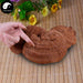 Pure Reishi Mushroom Spore Powder, Ganoderma Lucidum Extract, Ling Zhi 灵芝孢子粉-Health Wisdom™