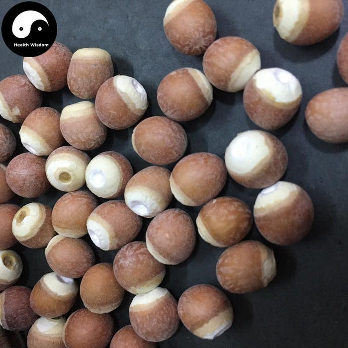 Qian Shi 芡實, Gorgon fruit, Gordon Euryale Seed, Semen Euryales, Ji Tou Mi
