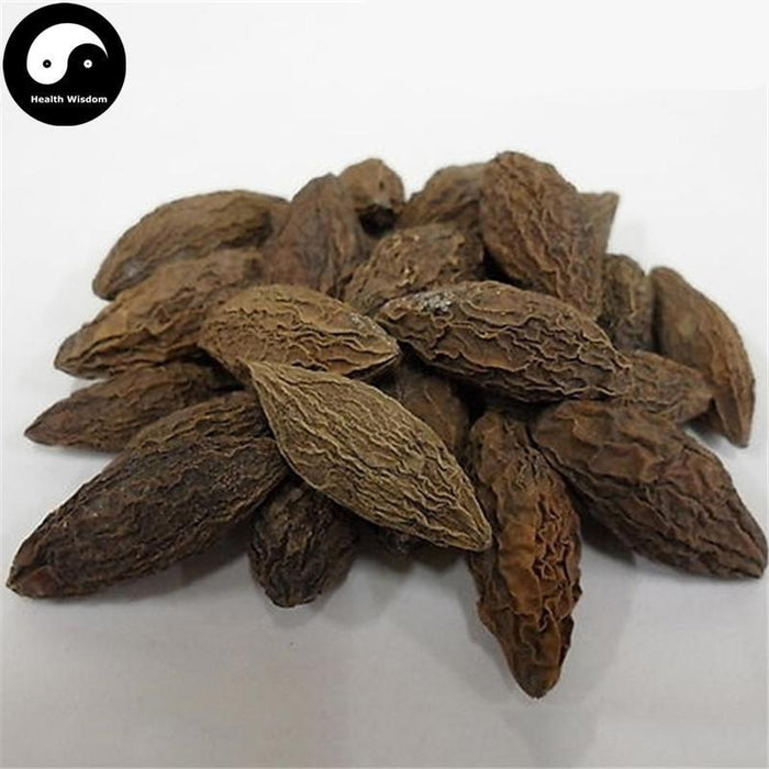 Qing Guo 青果, Fructus Canarii, Chinese White Olive, Fu Guo 福果-Health Wisdom™