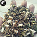 Qing Hao 青蒿, Herbal Tea Artemisiae Annua, Artemisia Herb, Sweet Wormwood, Artemisinin-Health Wisdom™