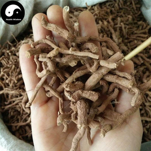 Qing Mu Xiang 青木香, Radix Aristolochiae, Slender Dutchmanspipe Root-Health Wisdom™