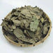 Qing Qian Liu Ye 青钱柳叶, Cyclocarya Paliurus Leaf Tea, Lower Blood Pressure Herba Tea-Health Wisdom™