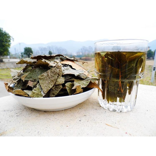 Qing Qian Liu Ye 青钱柳叶, Cyclocarya Paliurus Leaf Tea, Lower Blood Pressure Herba Tea