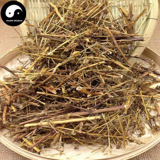 Qing Ye Dan 青葉膽, Herba Swertiae Mileensis, Mile Swertia Herb-Health Wisdom™