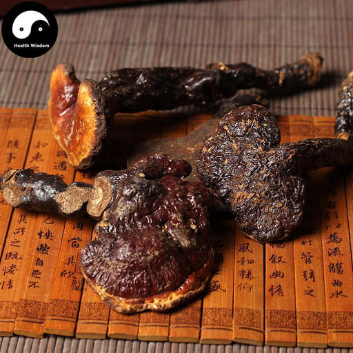 Reishi Mushroom, Ganoderma Lucidum Tea, Wild Dried Ling Zhi, Chi Zhi 赤芝-Health Wisdom™