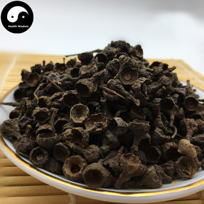 Rou Gui Zi 肉桂子, Gui Ding Xiang, Fruit of Japanese Cinnamon, Fructus Cinnamomi Japonici-Health Wisdom™