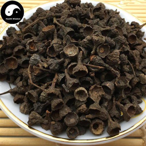 Rou Gui Zi 肉桂子, Gui Ding Xiang, Fruit of Japanese Cinnamon, Fructus Cinnamomi Japonici-Health Wisdom™