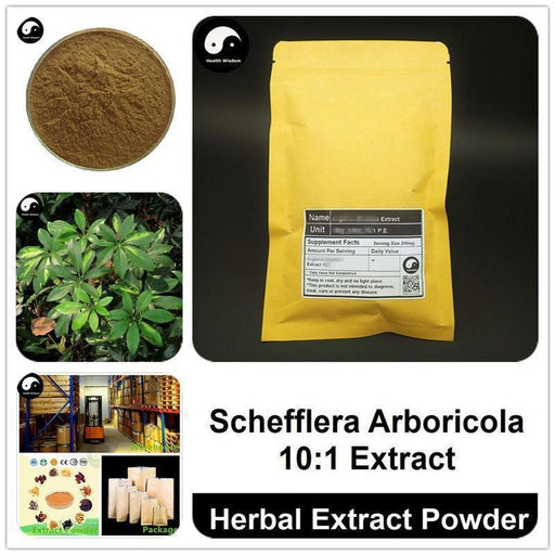 Schefflera Arboricola Extract Powder, Scheffleva Arboricola P.E. 10:1, Qi Ye Lian-Health Wisdom™