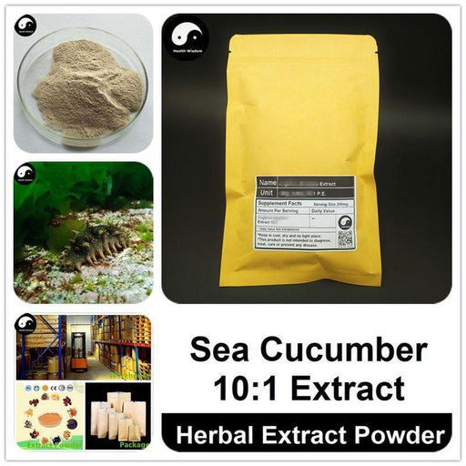 Sea Cucumber Extract Powder, Sea Cucumber P.E. 10:1, Hai Shen-Health Wisdom™