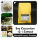 Sea Cucumber Extract Powder, Sea Cucumber P.E. 10:1, Hai Shen