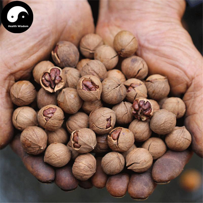 Shan He Tao 山核桃, Semen Caryae Cathayensis, Seed Of Cathay Hickory-Health Wisdom™