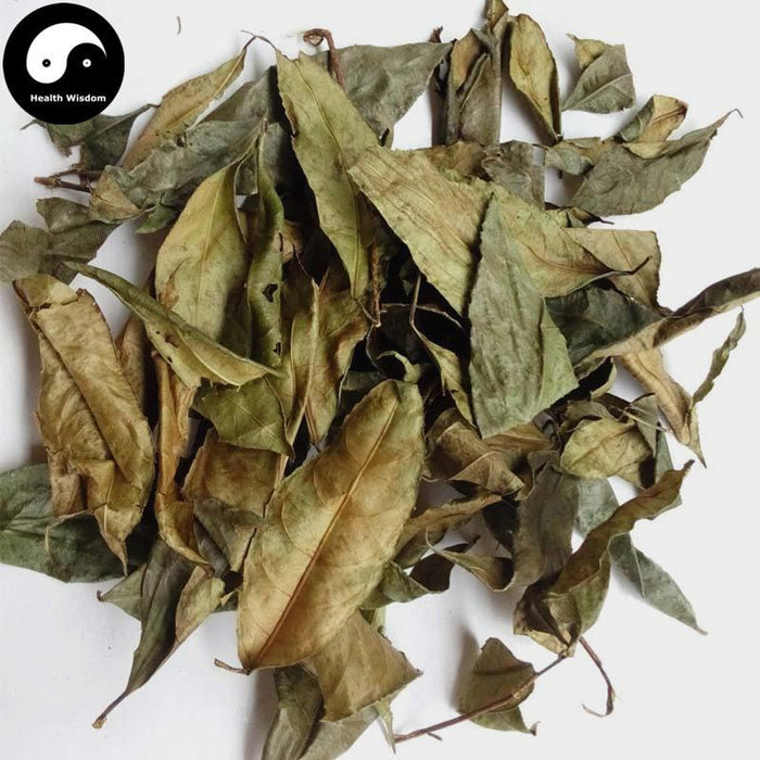 Shan Xiang Yuan Ye 山香圓葉, Folium Turpiniae, Turpinia Arguta Leaf-Health Wisdom™