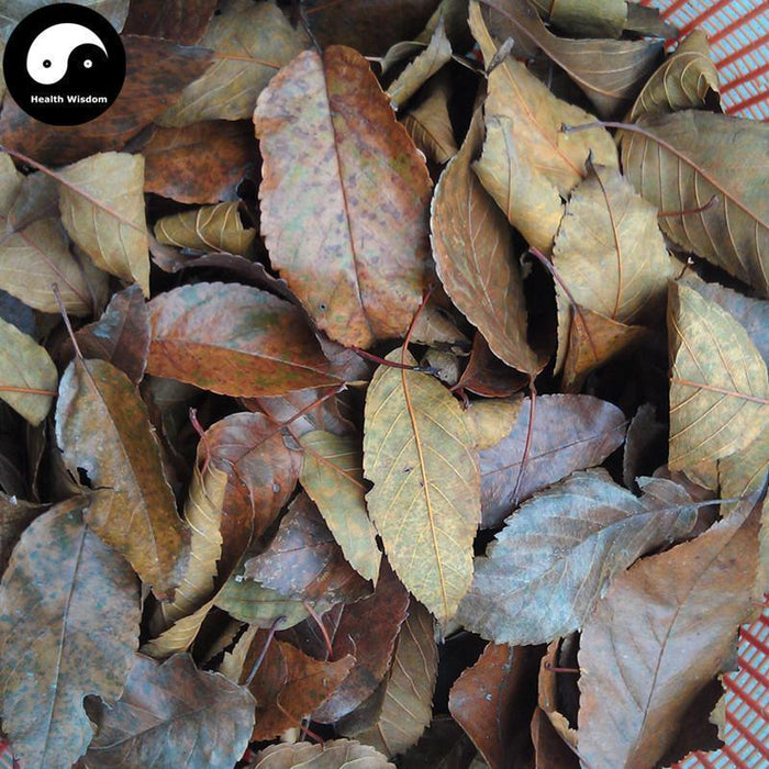 Shan Zha Ye 山楂葉, Folium Crataegi, Hawthorn Leaf
