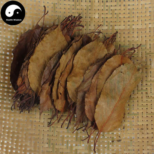 Shan Zha Ye 山楂葉, Folium Crataegi, Hawthorn Leaf-Health Wisdom™