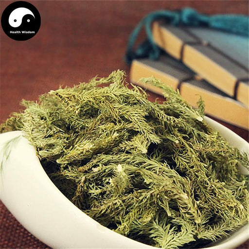Shen Jin Cao 伸筋草, Herba Lycopodii, Common Clubmoss Herb-Health Wisdom™