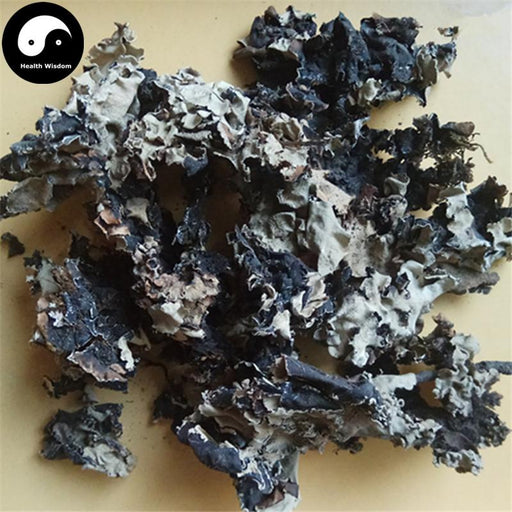 Shi Hua 石花, Di Yi 地衣, Parmelia Saxatilis, Fungi, Lichens