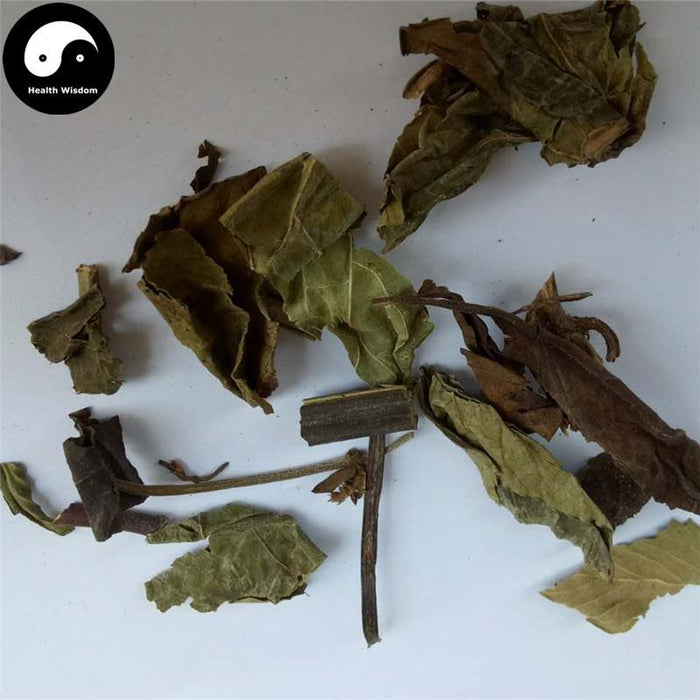 Shi Jian Chuan 石見穿, Chinese Sage Herb, Herba Salviae Chinensis, Zi Shen-Health Wisdom™