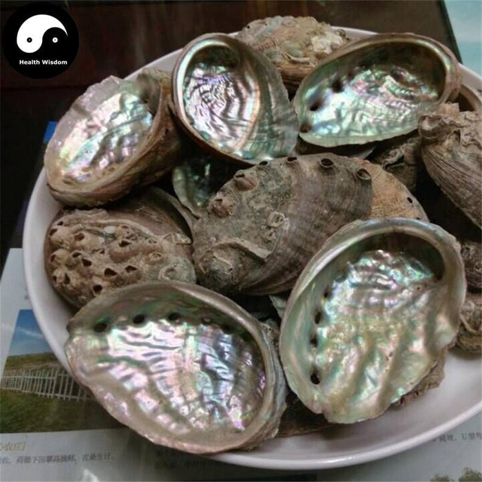 Shi Jue Ming 石决明, Concha Haliotidis, Abalone Shell, Sea Ear Shell, Haliotis-Health Wisdom™