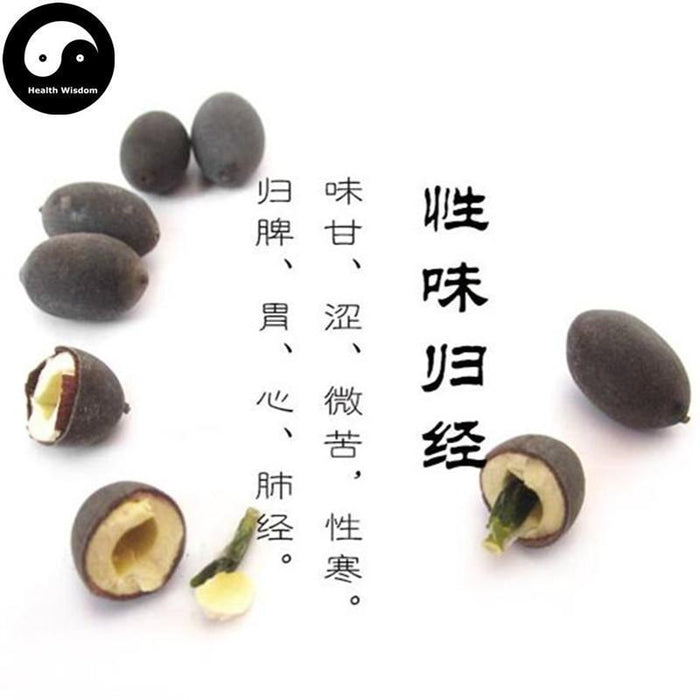 Shi Lian Zi 石蓮子, Black Lotus Seed