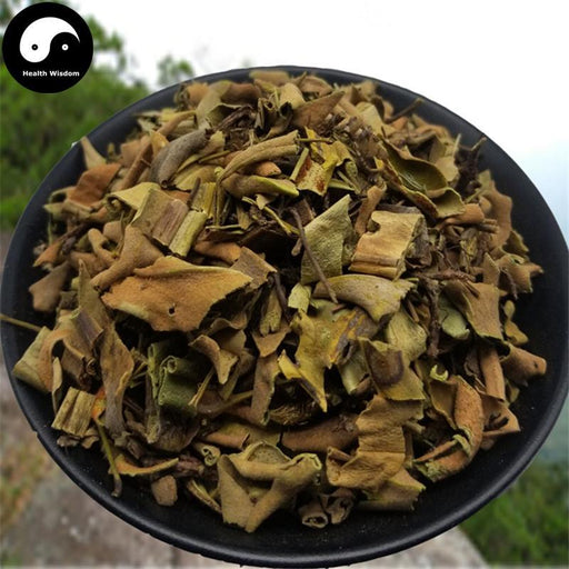 Shi Wei 石韋, Folium Pyrrosiae, Pyrrosia Leaf-Health Wisdom™