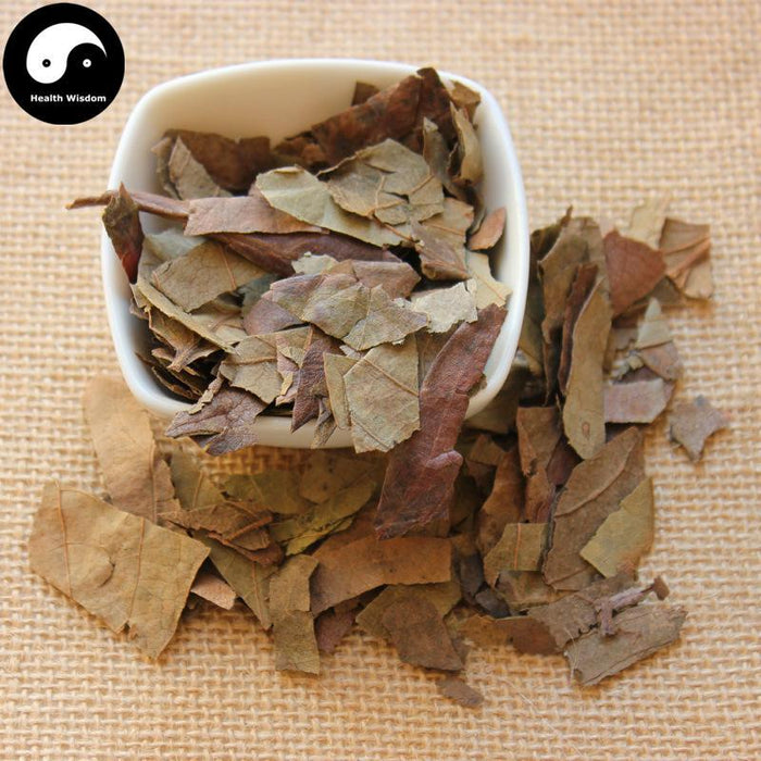 Shi Zi Ye 柿子葉, Diospyros Kaki Leaf, Folium Persimmon