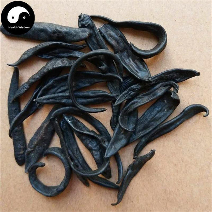 Shui Zhi 水蛭, Dried Hirudin, Medicinal Leeches, Wild Hirudo, Ma Huang