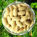 Song Hua Fen Pian 松花粉片, Pine Pollen Powder Tablets, Shell-broken Pine Pollen-Health Wisdom™