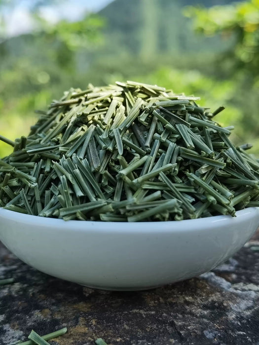 Song Ye 松葉, Pine Leaf Tea, Folium Pini, Song Zhen 松针, Song Mao-Health Wisdom™