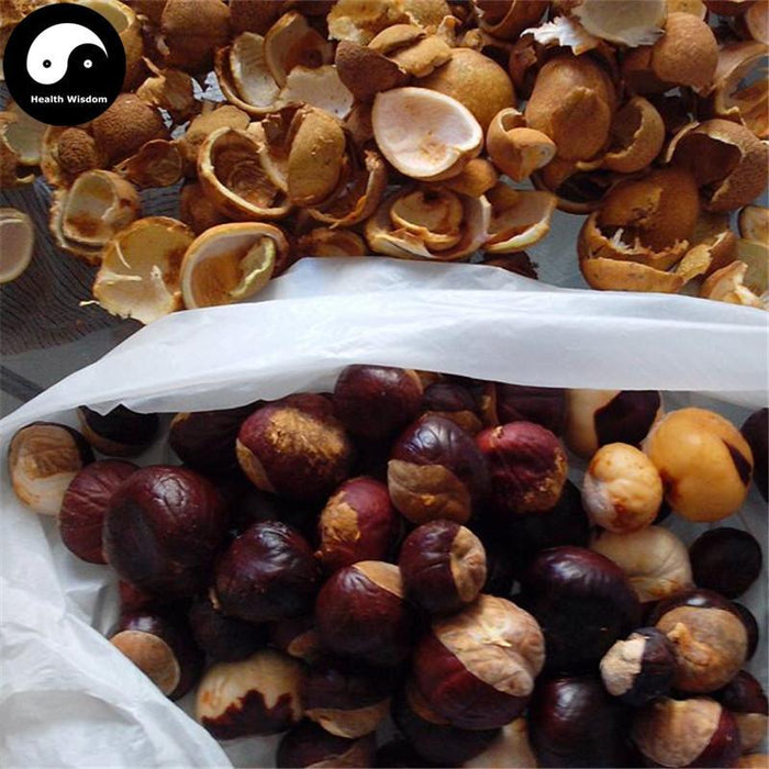 Suo Luo Zi 娑罗子, Chinese Buckeye Seed, Semen Aesculi, Su Luo Zi, Kai Xin Guo