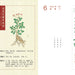 TCM Herbs Calendar 2024 Year Traditional Chinese Medicine Topic Calendar 366 Days Herb Wiki Books-Health Wisdom™