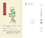 TCM Herbs Calendar 2024 Year Traditional Chinese Medicine Topic Calendar 366 Days Herb Wiki Books