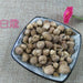 TCM Herbs Powder Bai Dou Kou 白豆蔻, Bai Kou Ren, Round Cardamom Fruit, Java Amomum Fruit, Fructus Amomi Rotundus-Health Wisdom™