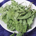 TCM Herbs Powder Bo He Ye 薄荷叶, Herba Menthae, Peppermint Leaf, Mint Herb Leaves-Health Wisdom™