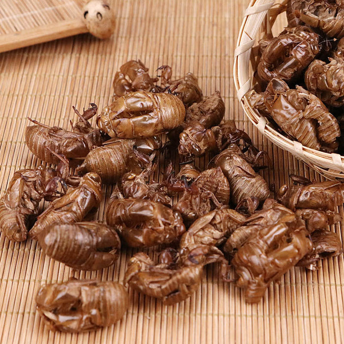TCM Herbs Powder Chan Tui 蝉蜕, Cicada Molting (Slough), Periostracum Cicadae, Cryptotympana-Health Wisdom™
