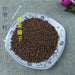 TCM Herbs Powder Chao Lai Fu Zi 炒萊菔子, Semen Raphani, Radish Seed-Health Wisdom™